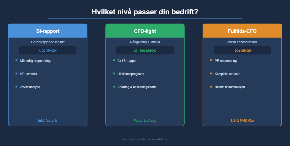 CFO-light nivåer — BI-rapport, CFO-light og fulltids CFO for ulike omsetningsstørrelser